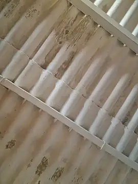 mila38 online show from June 12, 6:05 pm