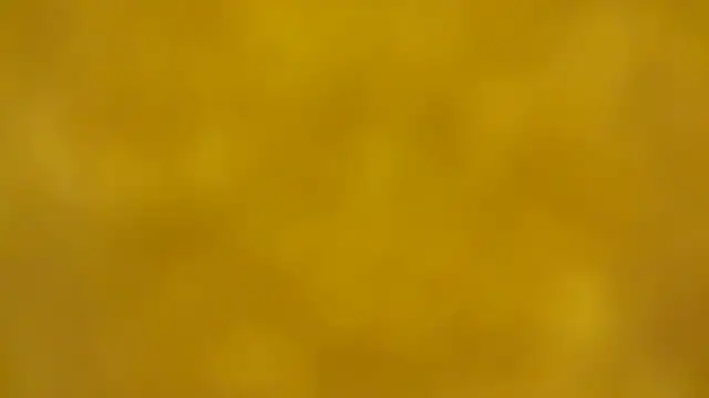 fmodel online show from December 16, 2:34 pm