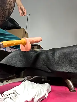 shelby kutter online show from April 18, 7:18 pm