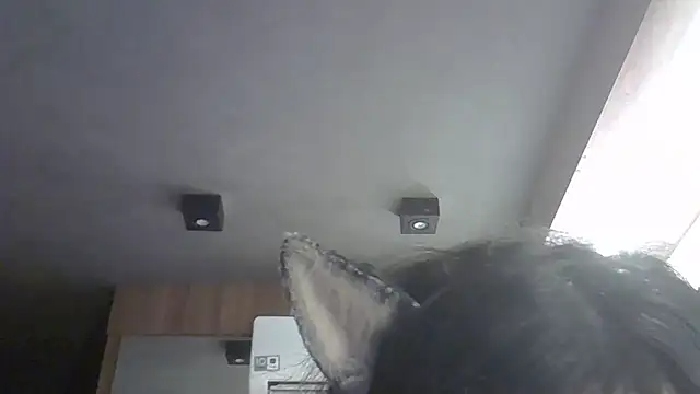 Skinny-Kitten online show from March 29, 8:57 am