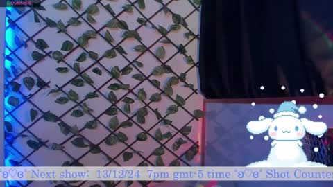  Bluey  online show from December 12, 2:37 am