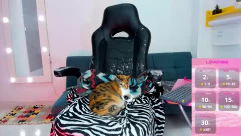 Juli online show from February 3, 6:01 pm