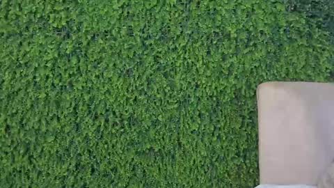 A B B Y online show from February 27, 9:58 pm