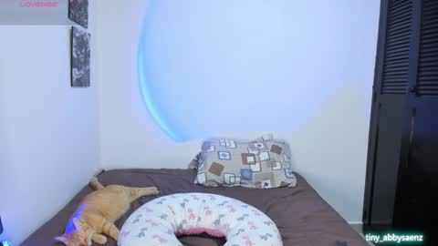 Abby Saenz online show from September 14, 12:19 am