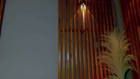 Abby Palmer online show from November 14, 5:29 am