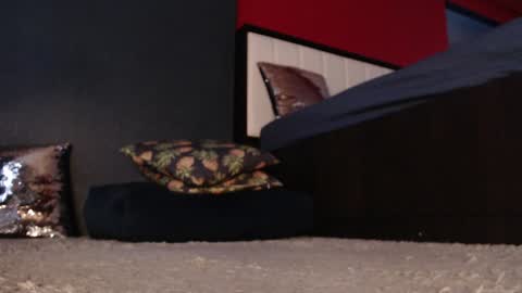 Alanna online show from January 11, 5:20 am