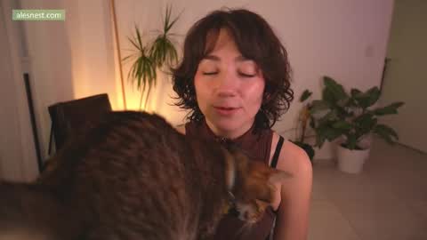 Ale online show from December 4, 12:57 am