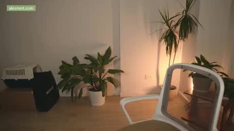 Ale online show from February 24, 11:58 pm