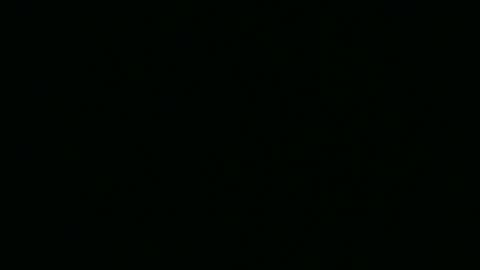 Alice online show from September 30, 4:01 pm