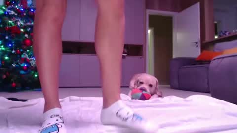 allissonhotbb online show from December 15, 7:21 pm