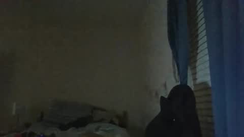 ally12334 online show from October 25, 2:30 am