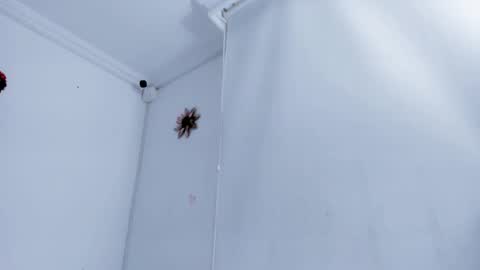 allyson online show from April 11, 11:36 am