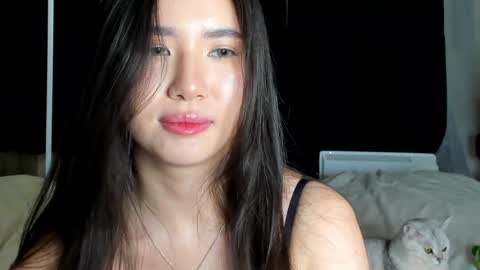 Amina online show from December 15, 6:15 pm