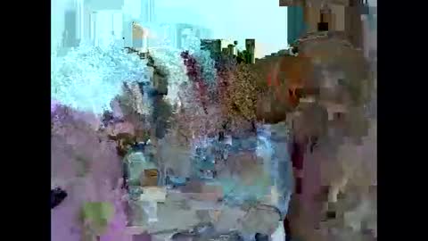 Snapshot of amor_anny chatting on February 9, 4:36 am anny online show from February 9, 4:36 am