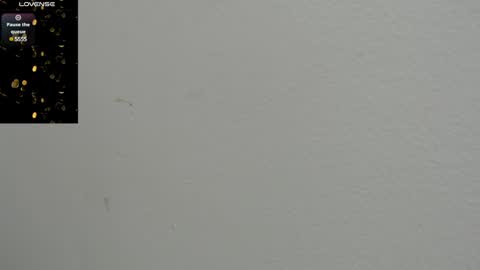 Snapshot of amy_le chatting on January 27, 1:19 pm Amy online show from January 27, 1:19 pm