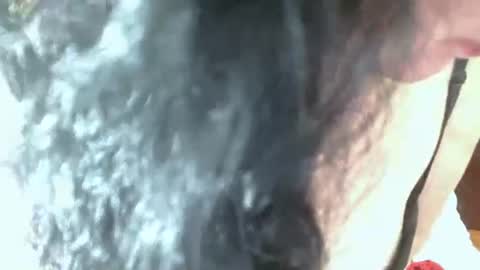 anamaria288 online show from April 4, 3:16 am