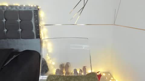 anastasia online show from December 22, 3:31 am