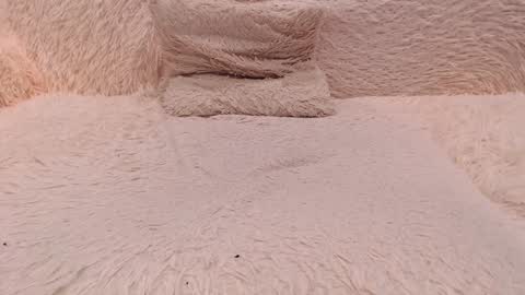 Angelina online show from January 5, 4:04 am