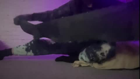 Anje online show from December 27, 7:46 pm