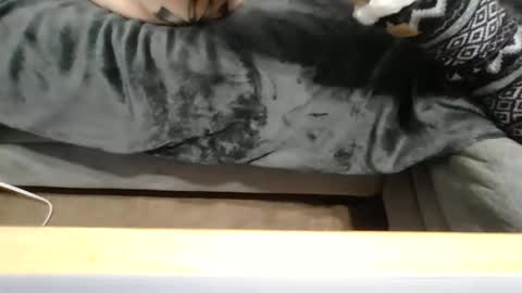 anne online show from December 3, 2:14 am