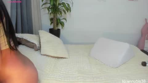 Snapshot of annubis_lia chatting on March 3, 4:00 am SOFIA INDEPENDENT MODEL online show from March 3, 4:00 am