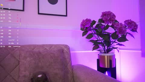 Ana online show from February 4, 11:35 am