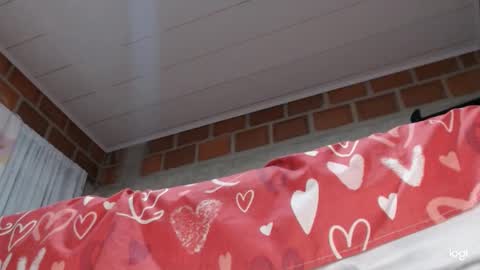 ashley online show from September 12, 4:02 am