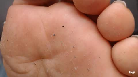 ashley online show from September 22, 4:11 am