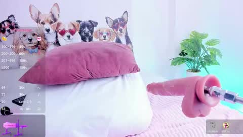 Ashley online show from November 28, 2:20 pm