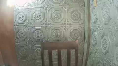 asian_nova online show from January 16, 6:42 am