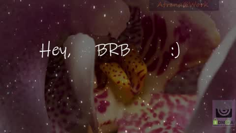 Atrena online show from January 13, 4:07 am