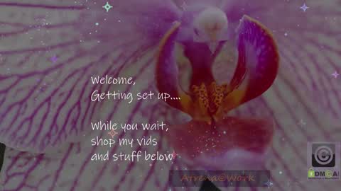 Atrena online show from March 3, 1:55 am