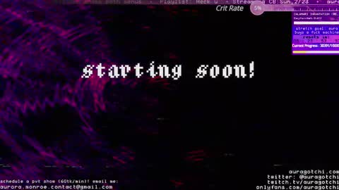 Snapshot of auragotchi chatting on February 23, 5:06 am Aurora  Aura online show from February 23, 5:06 am
