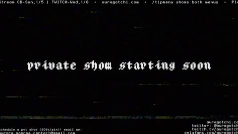 Snapshot of auragotchi chatting on January 4, 11:06 pm Aurora  Aura online show from January 4, 11:06 pm