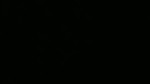 babybrat_vivi online show from November 28, 2:53 pm