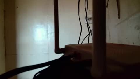 backsaraylover online show from November 25, 3:20 am