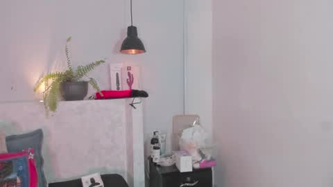 Bellota Flak online show from December 14, 8:03 pm