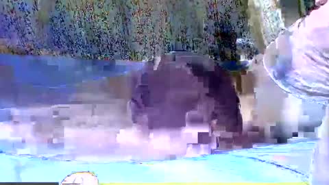 Snapshot of black_berry9 chatting on February 9, 2:17 am black_berry9 online show from February 9, 2:17 am