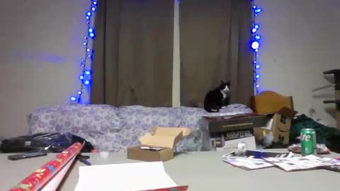 Bridgette1992 online show from December 18, 10:03 pm