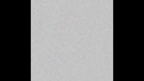 Bunnie online show from February 1, 3:00 pm