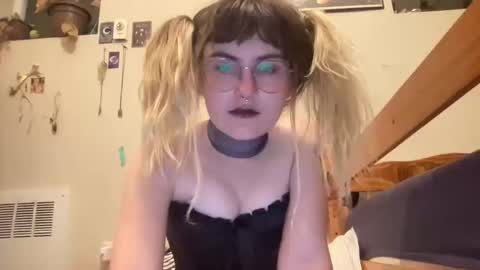 Snapshot of bushbabe3008 chatting on October 16, 5:43 am esme gray online show from October 16, 5:43 am