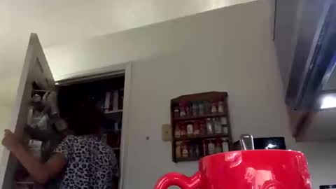 Snapshot of calishop1 chatting on October 3, 2:55 pm calishop1 online show from October 3, 2:55 pm