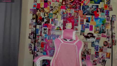 Robin online show from November 11, 11:29 am