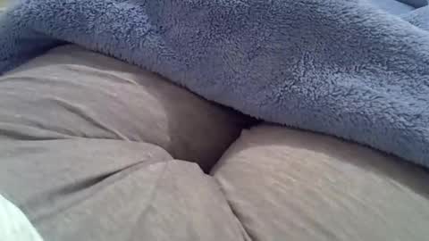 flash 50 tokens BIG CLIT  tits pussy. masturbation big clit 150 tokens fingers inside pussy 1000 tk  pump big clit 300 tk online show from October 2, 2:05 am