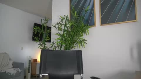 Snapshot of canelasungirl chatting on September 10, 7:36 pm Jency NEW IG IMCANELA   online show from September 10, 7:36 pm