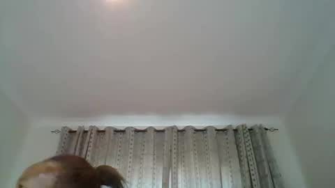 carababey online show from February 23, 10:10 am