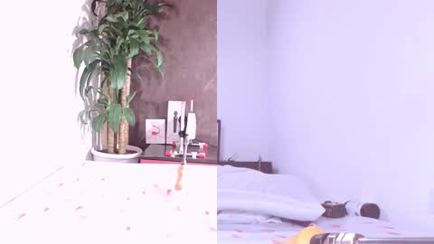 Carol online show from March 22, 12:00 pm