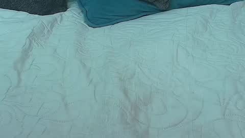 Snapshot of catalinahenao chatting on October 7, 7:02 am cata online show from October 7, 7:02 am