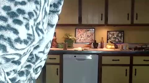 CATALYSTIC online show from February 28, 9:15 am