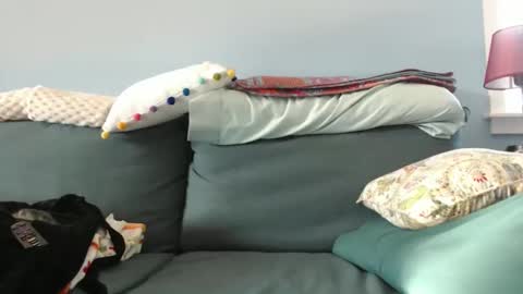 Chelsea online show from January 3, 5:53 pm